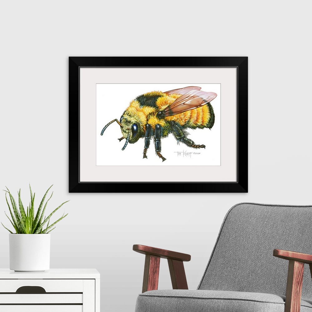 A modern room featuring Bumble Bee