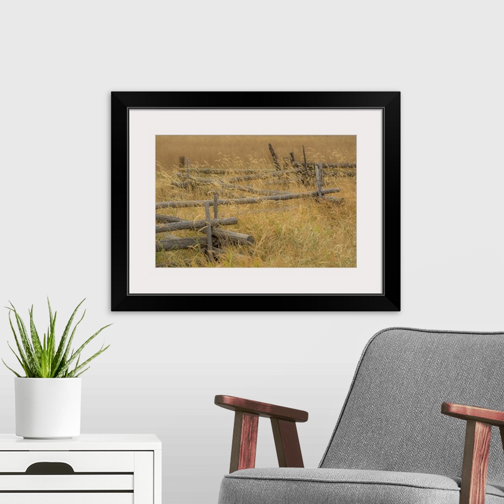 A modern room featuring A photograph of a fence sitting in a grassy landscape.