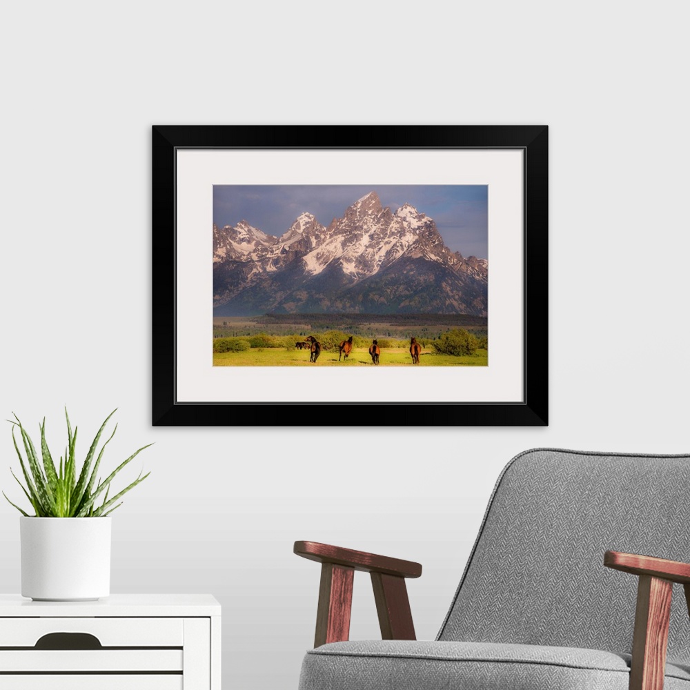 A modern room featuring Wildlife photograph of wild horses galloping through a valley surrounded by snowy mountain peaks.