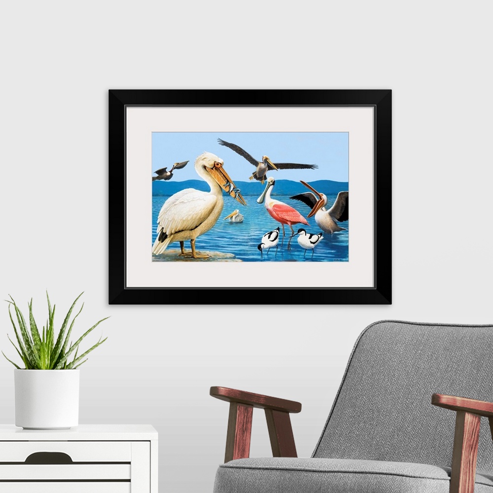 A modern room featuring Birds with strange beaks. Pelican, Brown Pelican, Roseate Spoonbill, and Avocet. Original artwork...