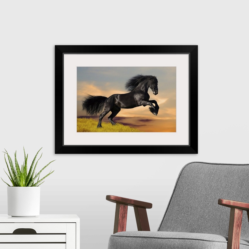 A modern room featuring Black horse galloping on a hill at sunset.