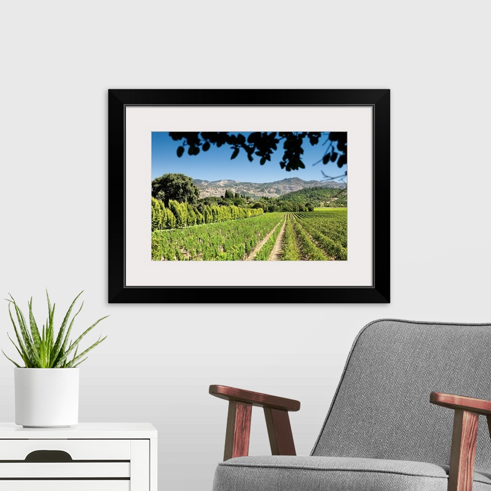 A modern room featuring California, Napa Valley, Vineyard and hills