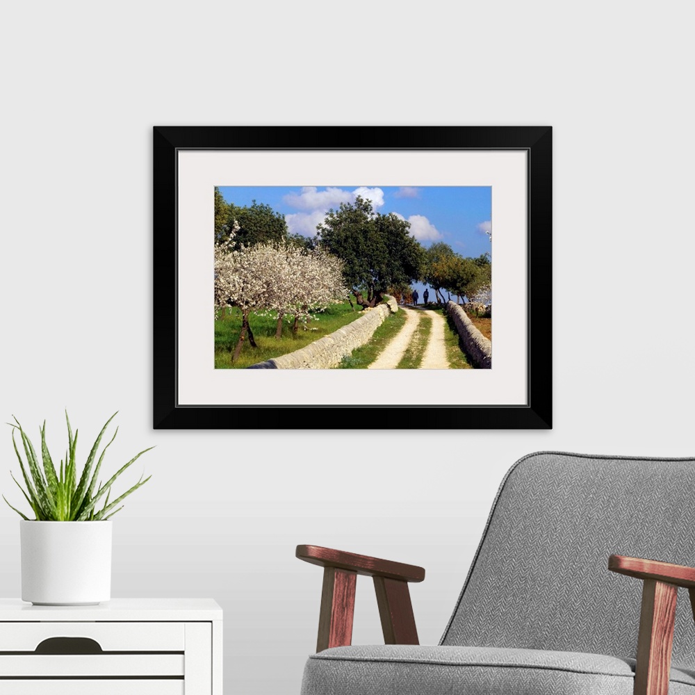 A modern room featuring Italy, Sicily, Ragusa, Country road and almond trees in bloom near Modica