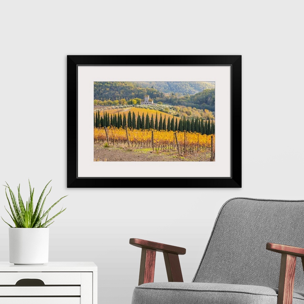 A modern room featuring Italy, Tuscany, Siena district, Chianti, Radda in Chianti, View of Chianti area during autumn