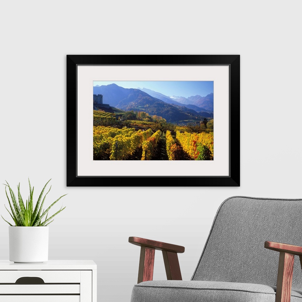A modern room featuring Italy, Italia, Aosta Valley, Valle d'Aosta, Gran Paradiso National Park, vineyards near Aymaville...