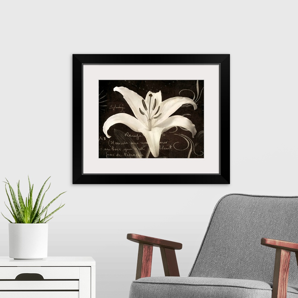 A modern room featuring Huge monochromatic floral art incorporates a close-up of a flower surrounded by text and a variet...