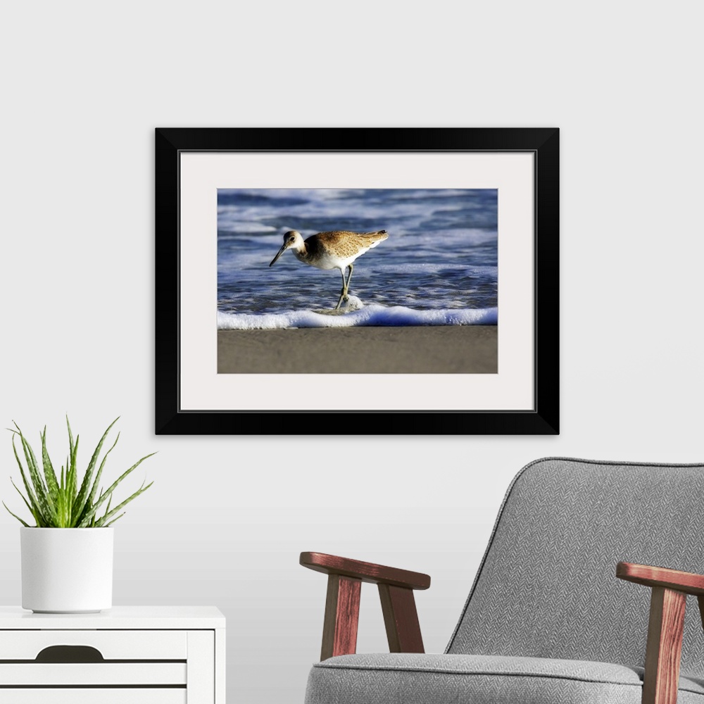 A modern room featuring Sandpiper in the Surf 3