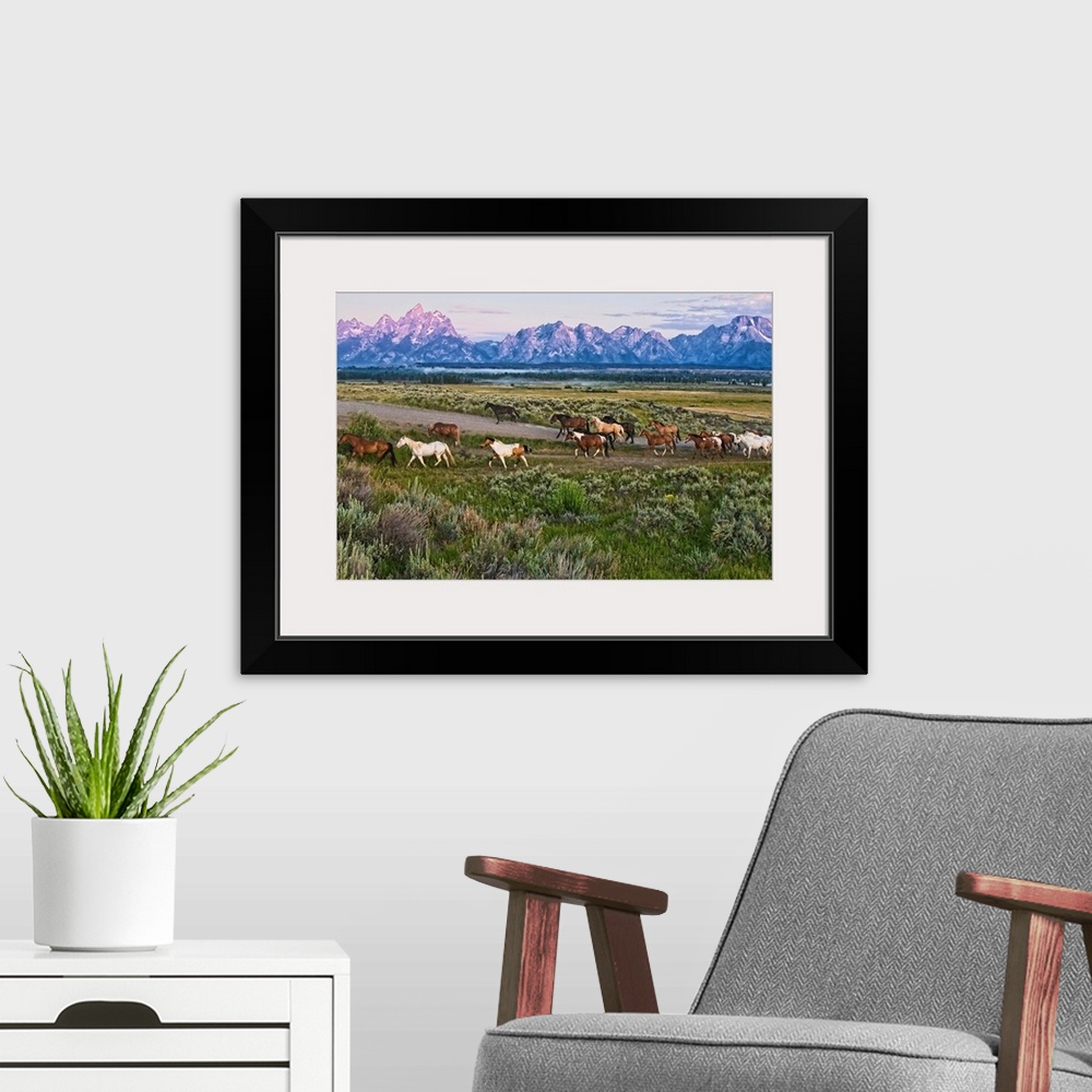 A modern room featuring Big canvas photo of a group of horses walking through an open field with rugged mountains in the ...