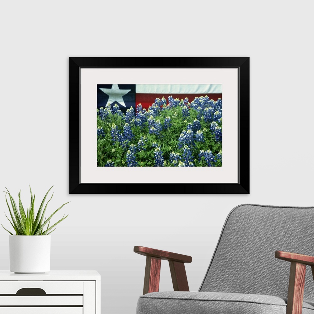 A modern room featuring Bluebonnets are the state flower of Texas.