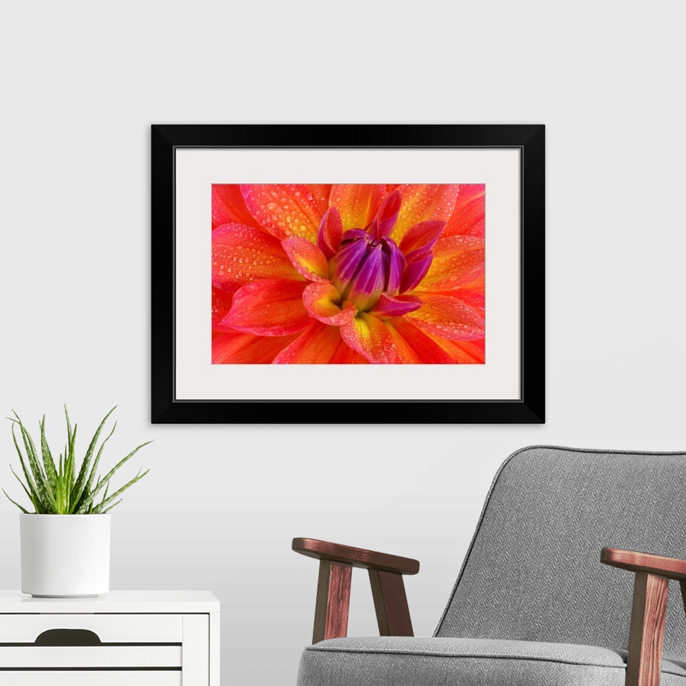 A modern room featuring Up close view of a bright flower petal printed on canvas.