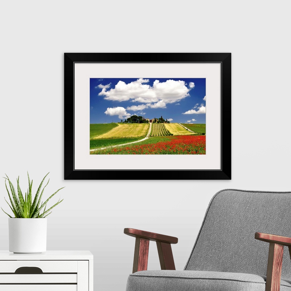 A modern room featuring Clouds and poppies near vineyard.
