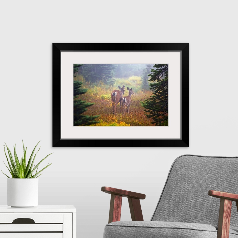 A modern room featuring Two deer are photographed from behind standing in a grassy field with a layer of fog shown in the...