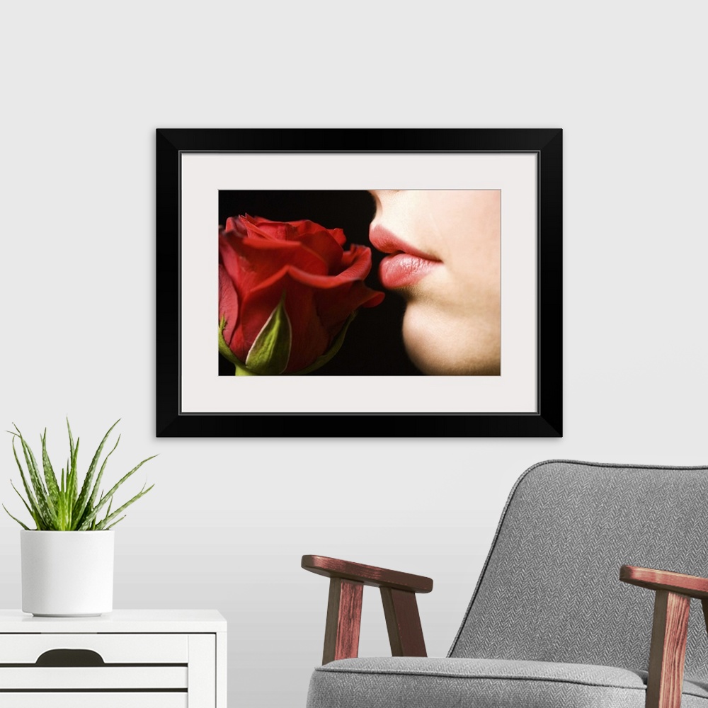 A modern room featuring Luscious lips and soft rose