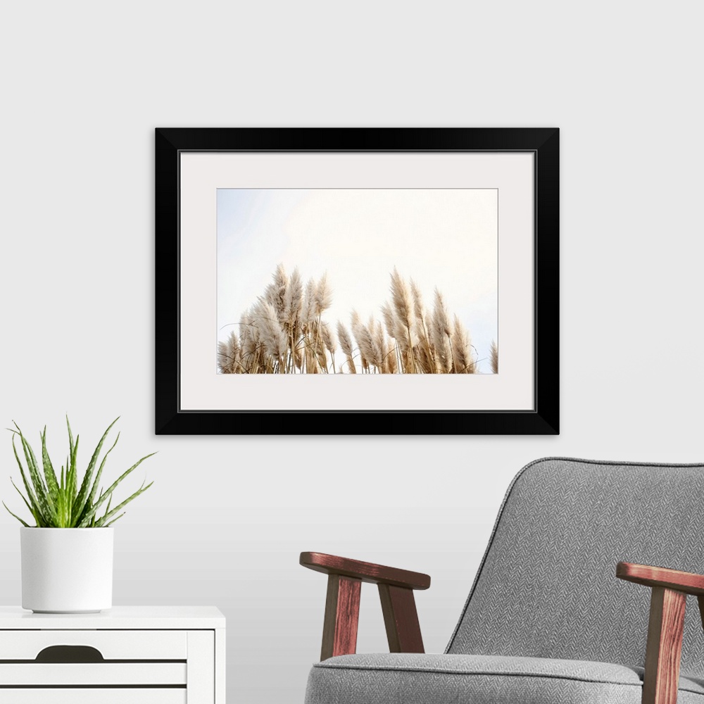 A modern room featuring Pampas Grass In The Sky