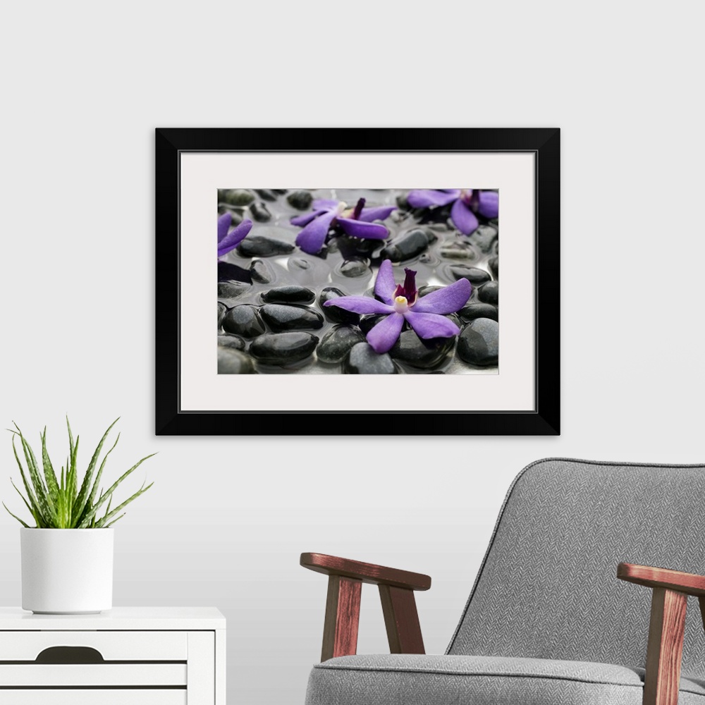 A modern room featuring Purple orchids on wet rocks