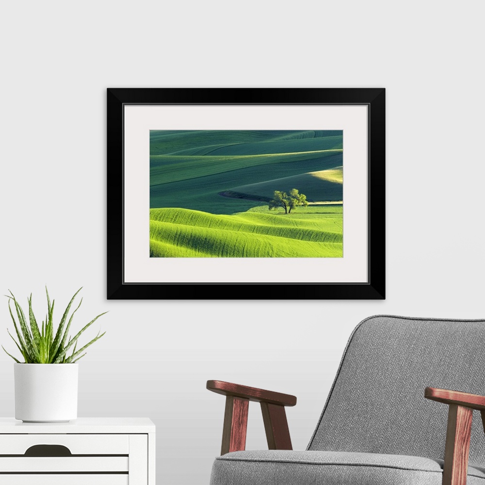 A modern room featuring Fine art photo of the rolling green hills of Palouse, Washington.