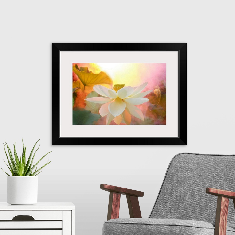 A modern room featuring A soft pastel colored photograph of a white flower.