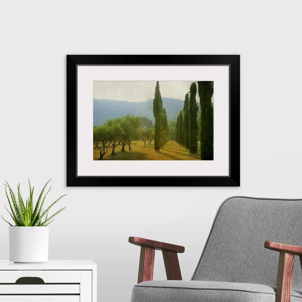 A modern room featuring A photograph of an idyllic countryside scene, with late afternoon light hitting cypress trees and...