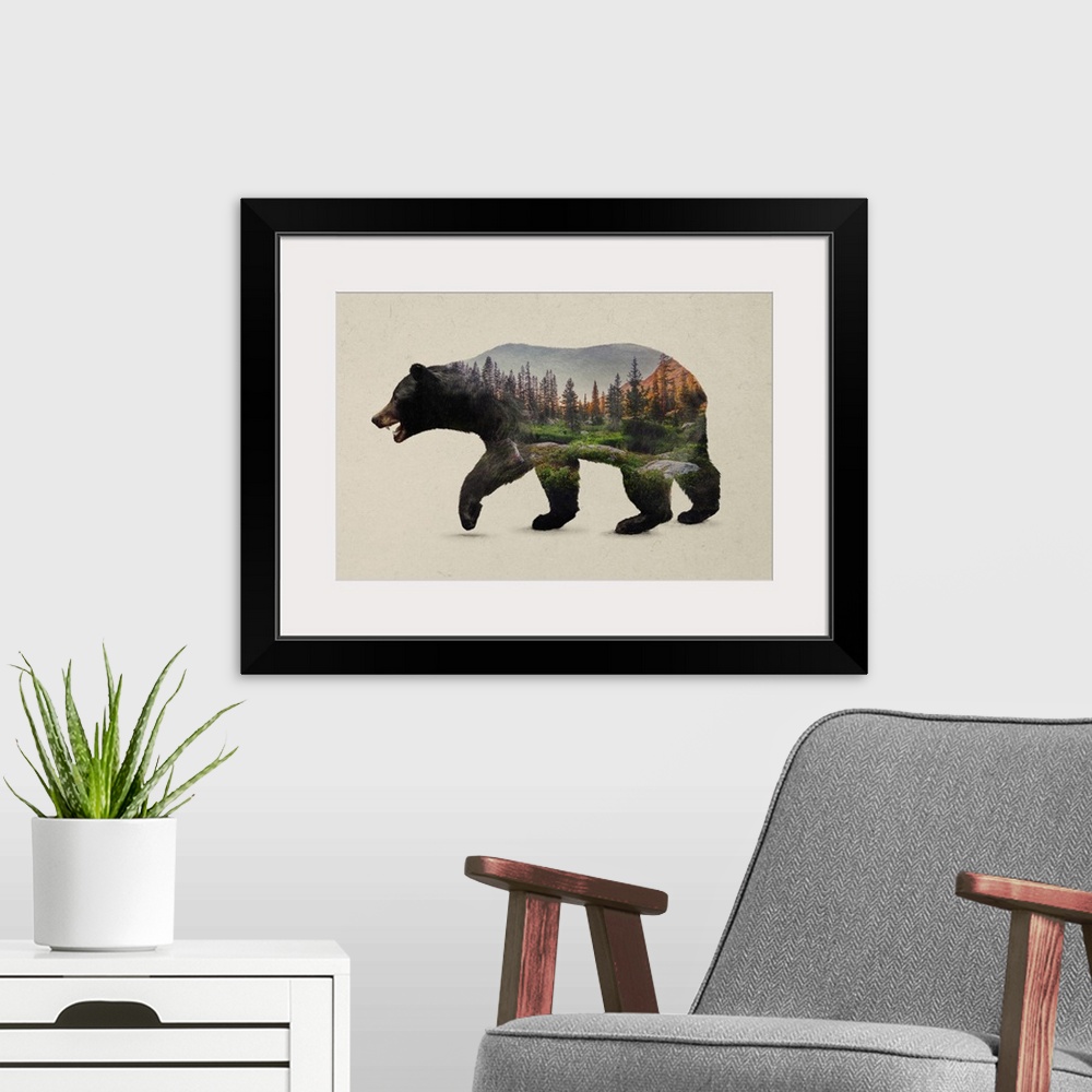 A modern room featuring The North American Black Bear