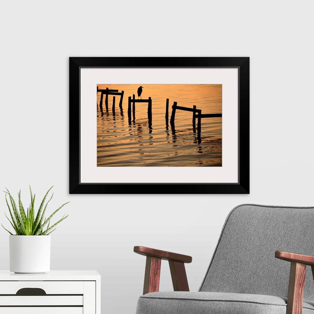 A modern room featuring A silhouetted heron perches on the pilings of an old dock.