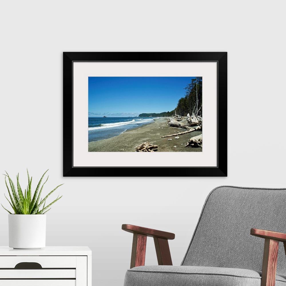 A modern room featuring USA, Washington State, Olympic Peninsula: Rialto Beach