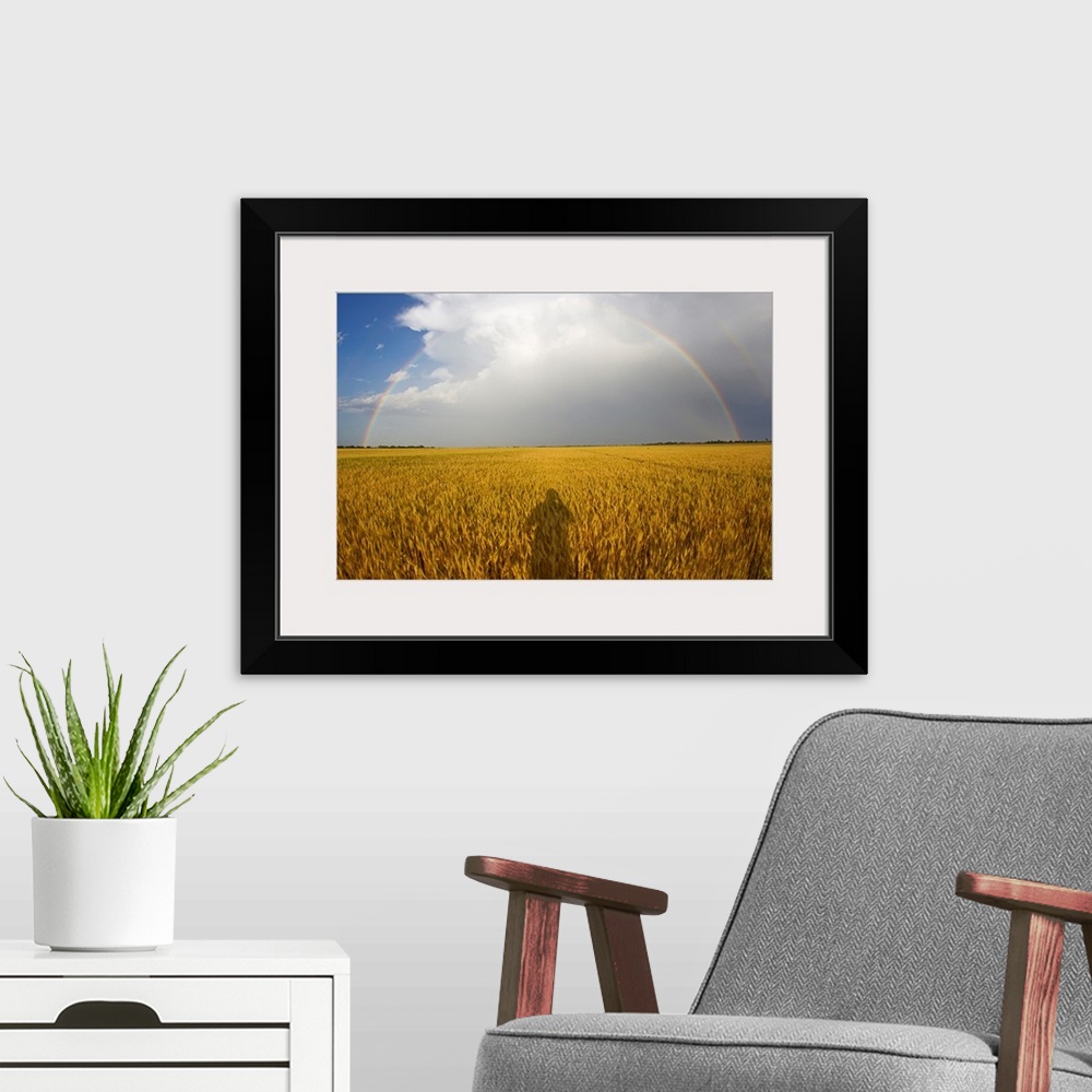 A modern room featuring A man's shadow on a wheat field with a rainbow behind a passing storm.