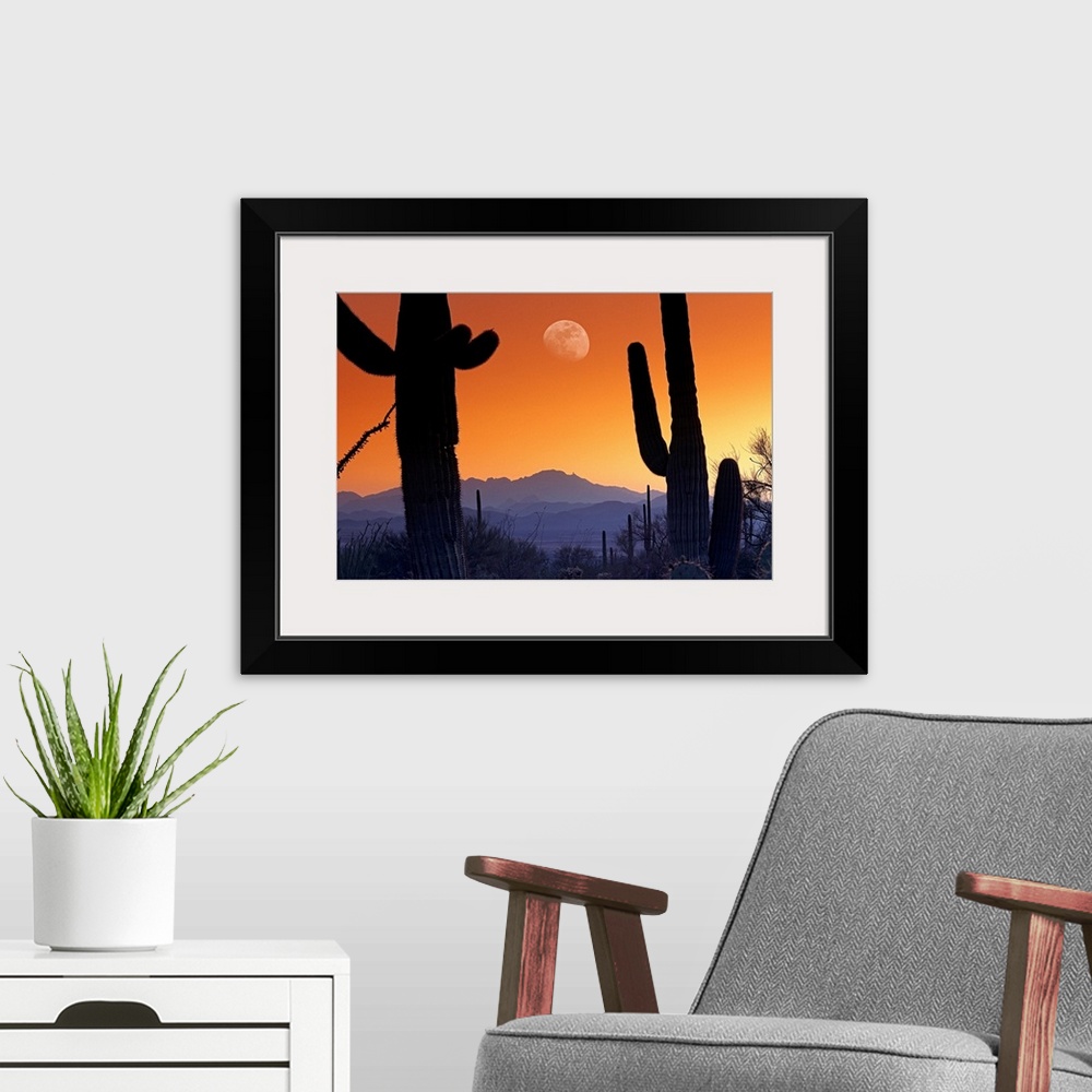 A modern room featuring Big canvas photo of cacti silhouetted against a sunset in the desert with a big moon.