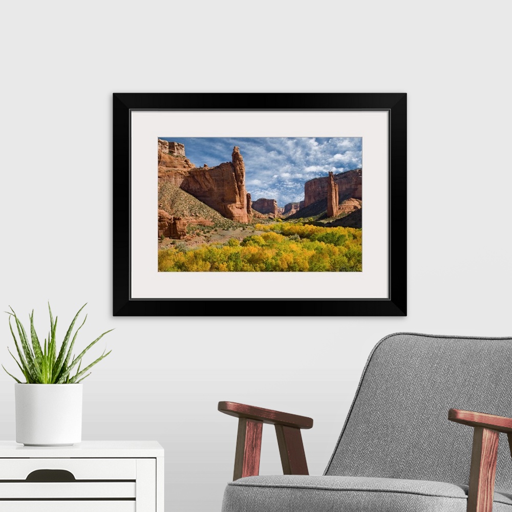 A modern room featuring River valley with spider rock, Canyon de Chelly National Monument, Arizona