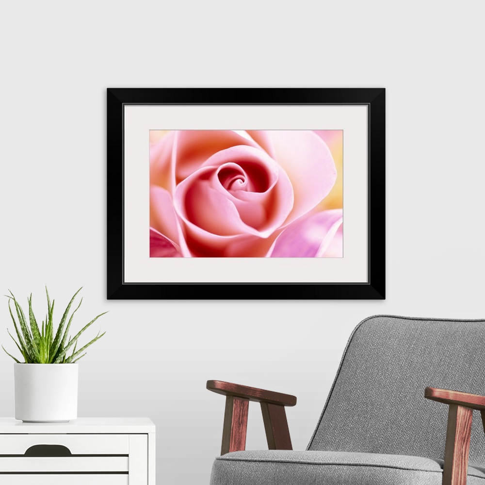 A modern room featuring Macro photograph of a rose, horizontal wall art for the living room or office.