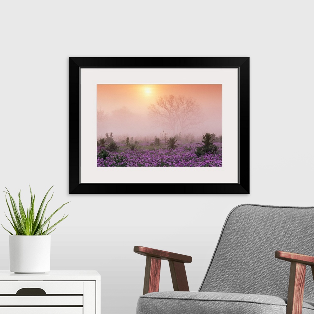 A modern room featuring Photograph of flower meadow sprinkled with tall shrubs on a misty morning.  The silhouettes of la...