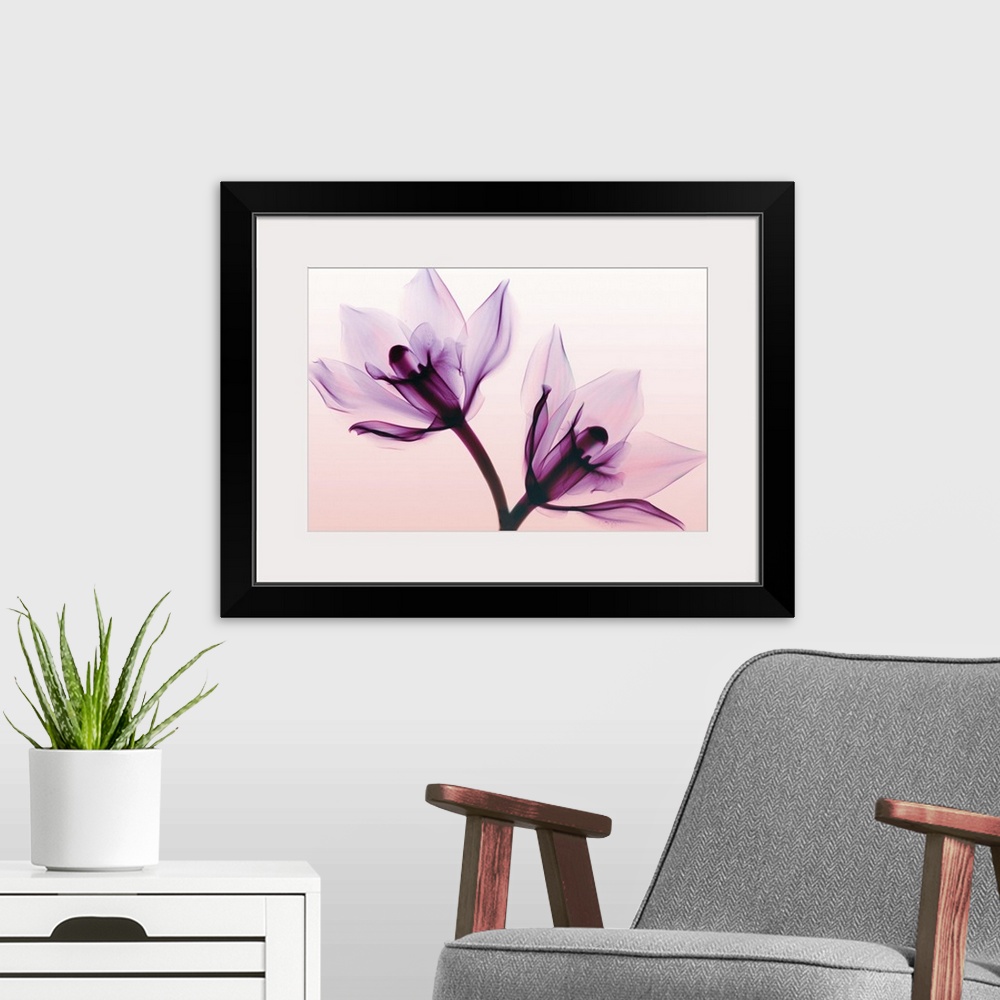 A modern room featuring Fine art photograph using an x-ray effect to capture an ethereal-like image of orchids.
