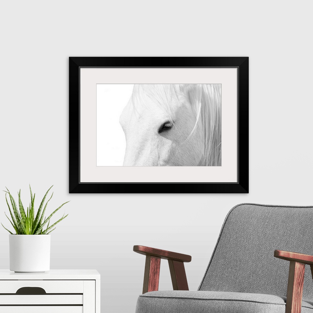 A modern room featuring Closeup artwork of the head of a horse.
