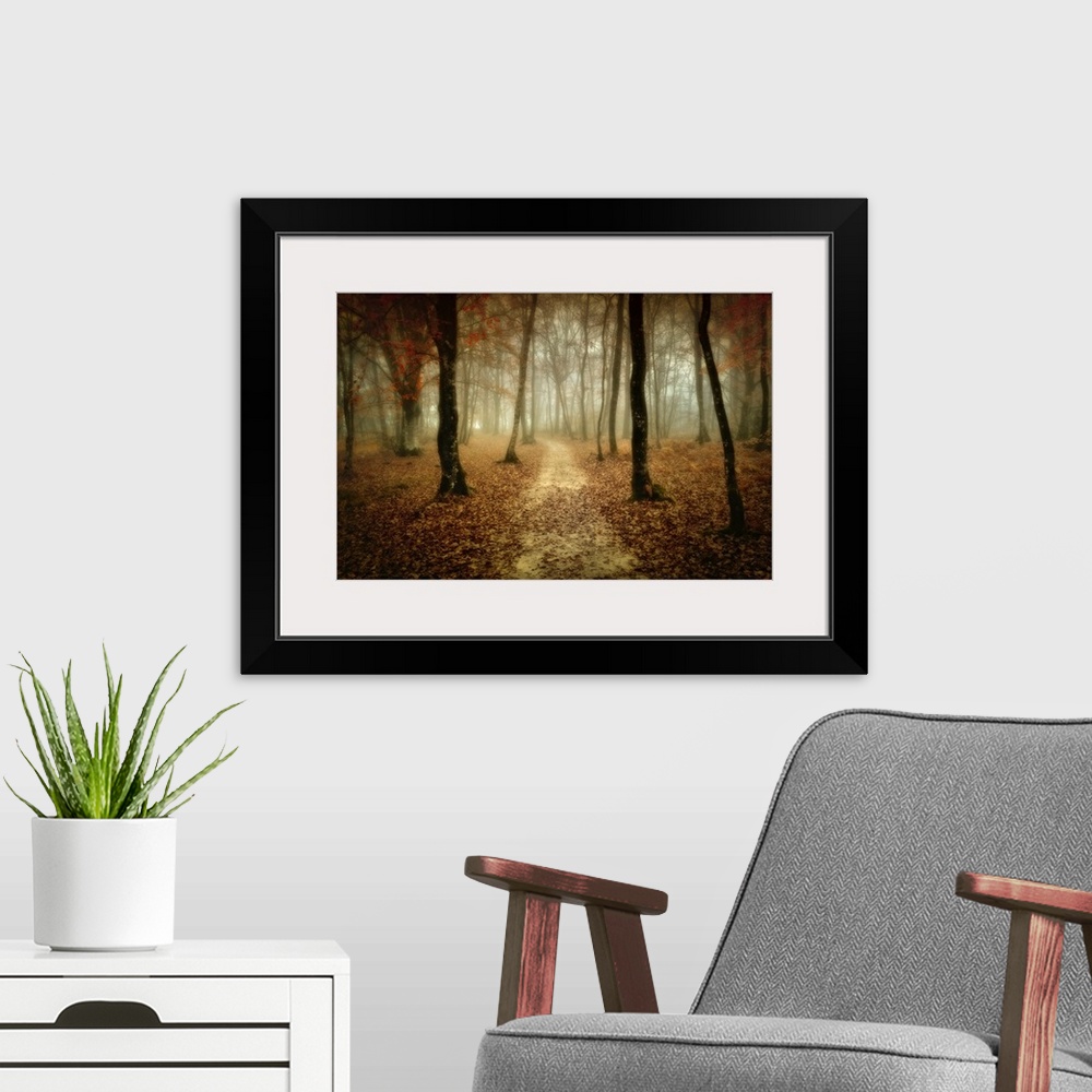A modern room featuring Slightly blurred photograph of dirt path in the forest that covered with fallen leaves.