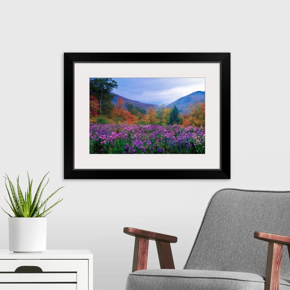 A modern room featuring Large landscape photograph of purple flowers and autumn foliage in a meadow at twilight, in Crawf...