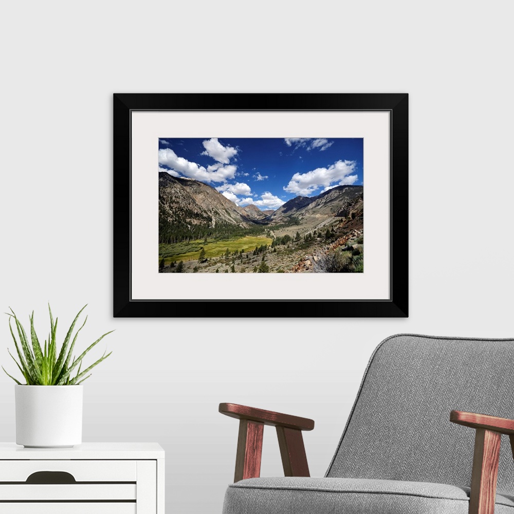 A modern room featuring Summer landscape in Yosemite
