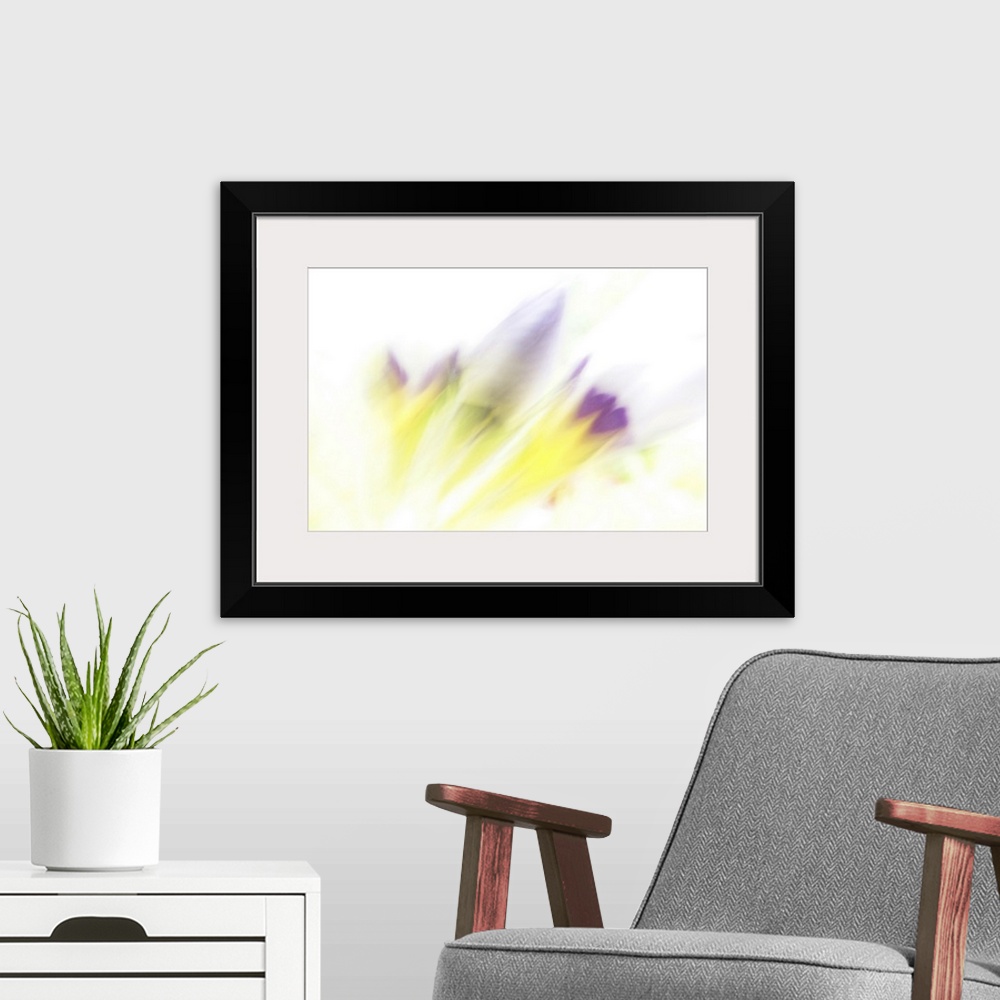 A modern room featuring Artistically blurred wild flowers ready to bloom.