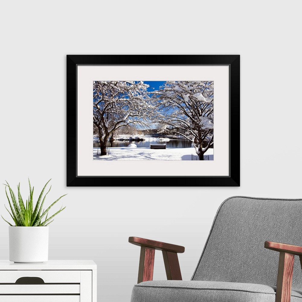 A modern room featuring Snow Covered Trees, Winter Scenic, South Branch of Raritan River, Clinton, New Jersey