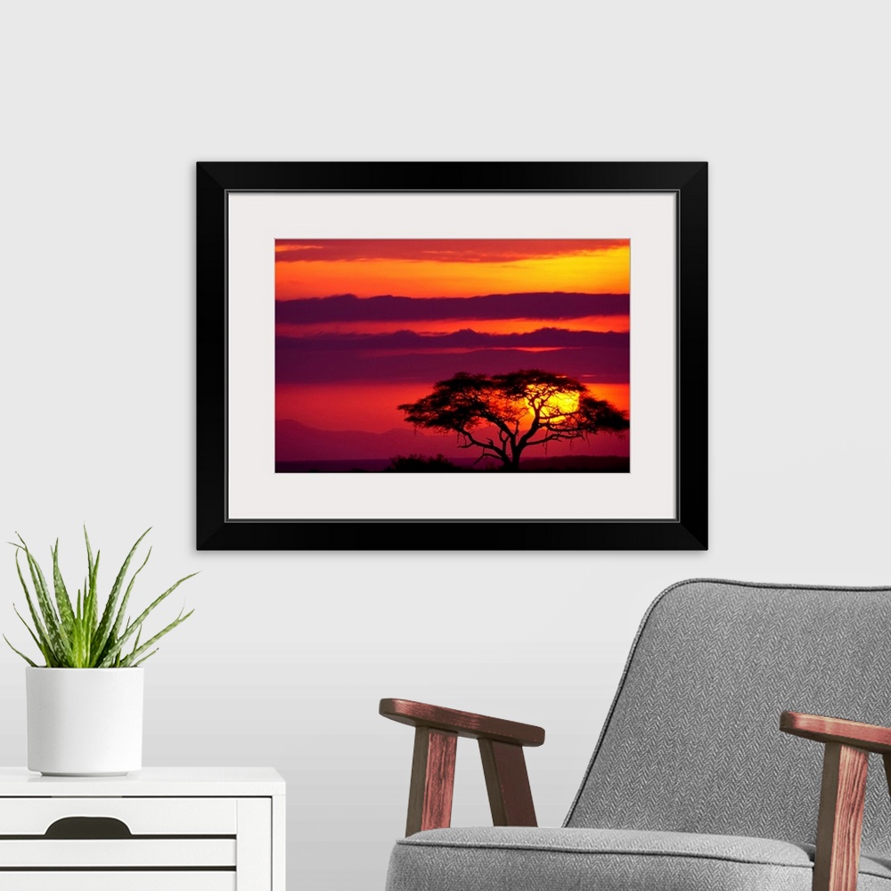 A modern room featuring Large photograph shows a lone acacia tree sitting within Amboseli National Park in Kenya while th...