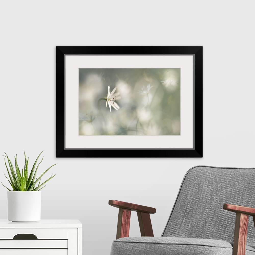 A modern room featuring A small white flower with a white bokeh background.