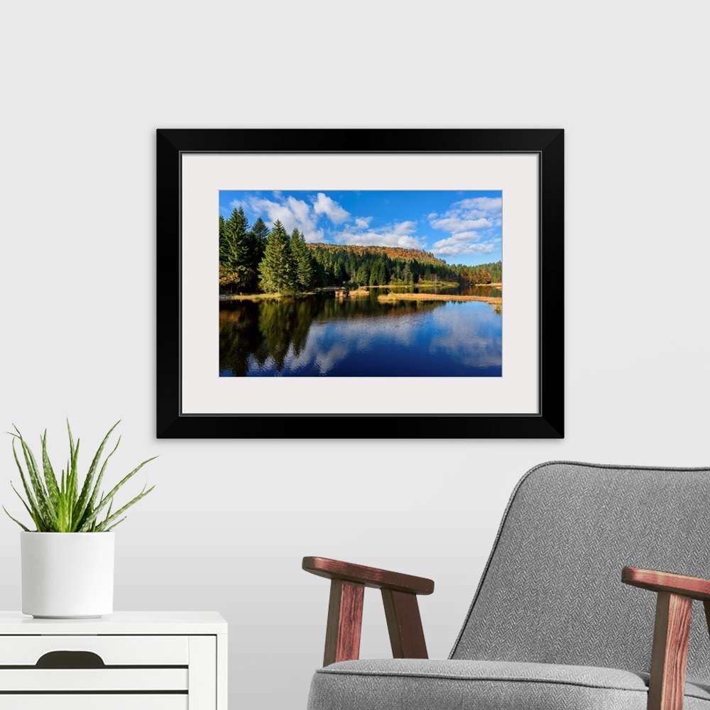 A modern room featuring Tall pine trees along the edge of a lake reflecting the deep blue sky above.