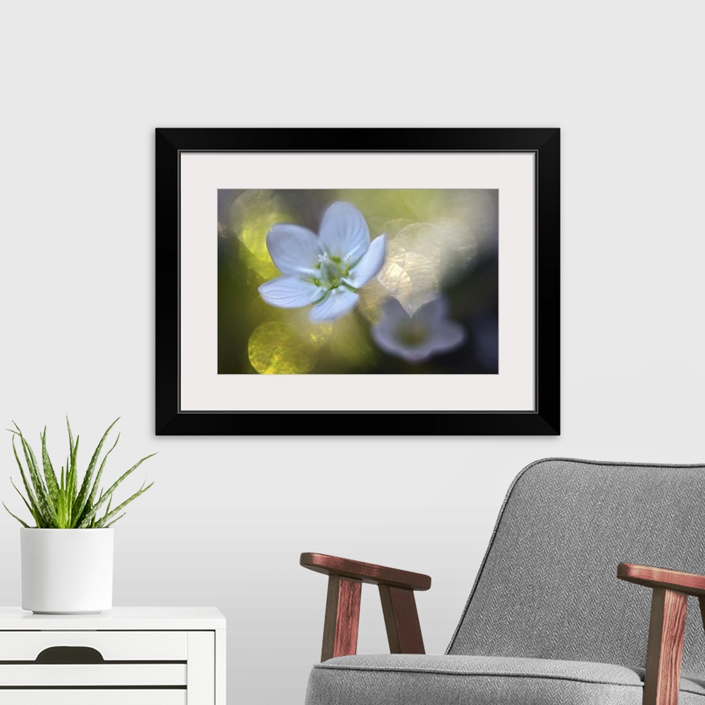 A modern room featuring A macro photograph of a white flower against an abstract green and bokeh background.