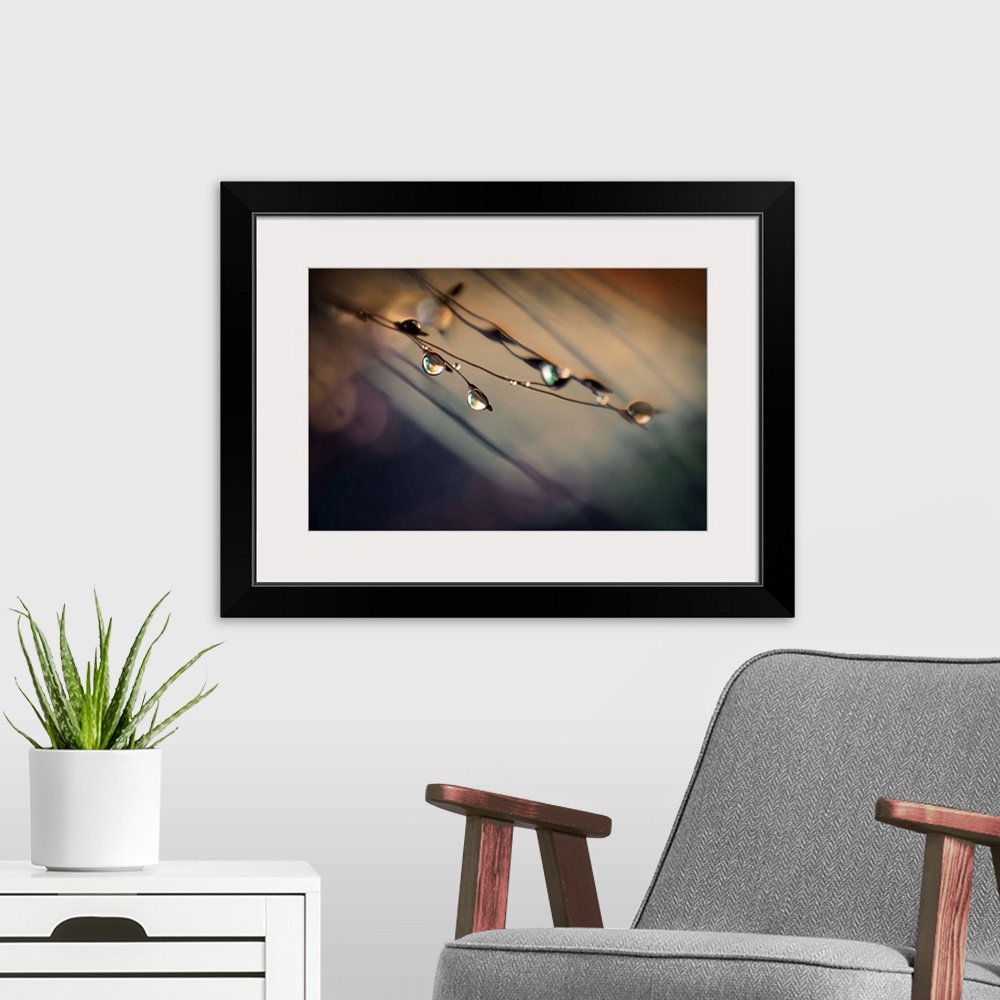 A modern room featuring Fine art photo of water droplets clinging to very thin twigs with a bokeh background.