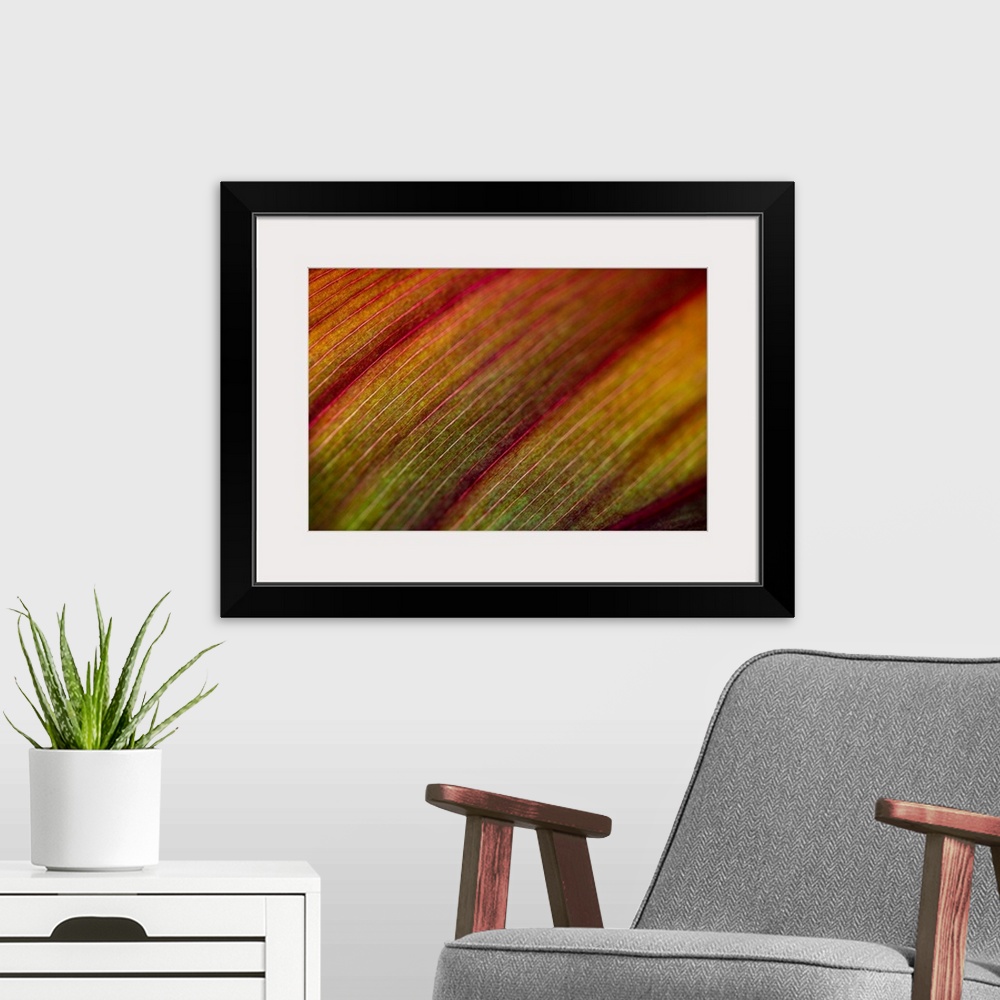 A modern room featuring Abstract artwork of a closely taken photograph of a plant. Veins in the plant are visible and app...