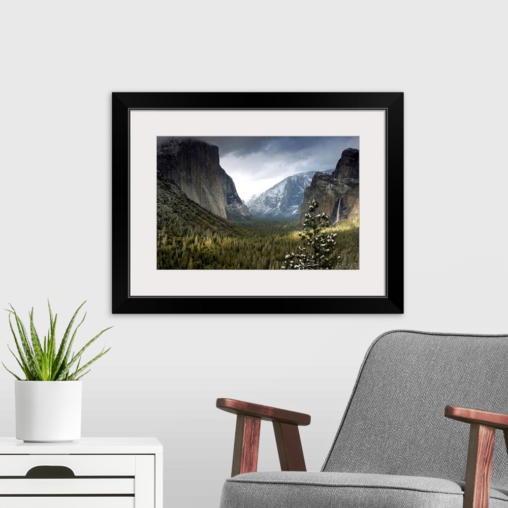 A modern room featuring Huge photograph displays a wide open valley within a national park in California densely covered ...