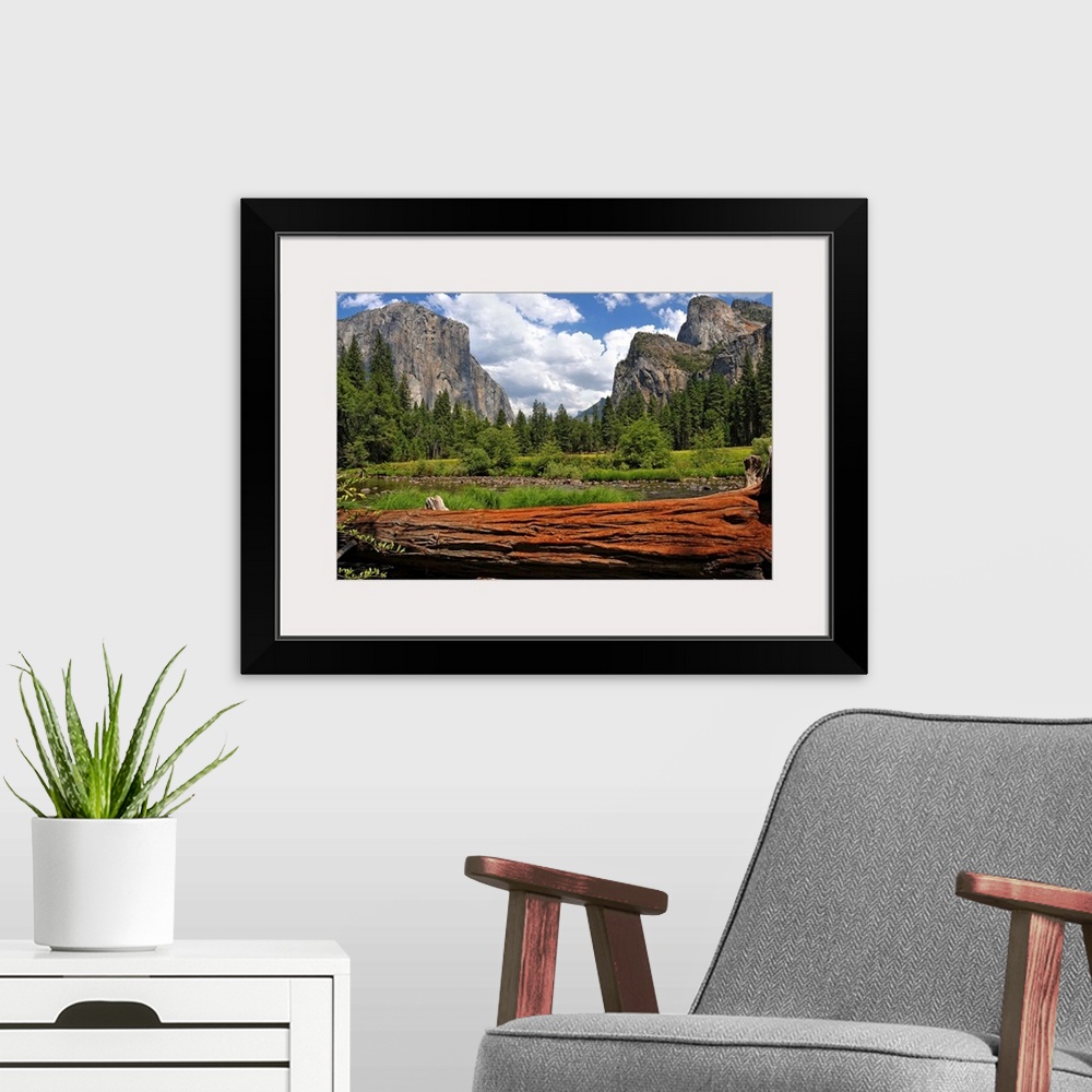 A modern room featuring Giant photograph of Yosemite Valley on a sunny day with a fallen tree trunk and pond in the foreg...