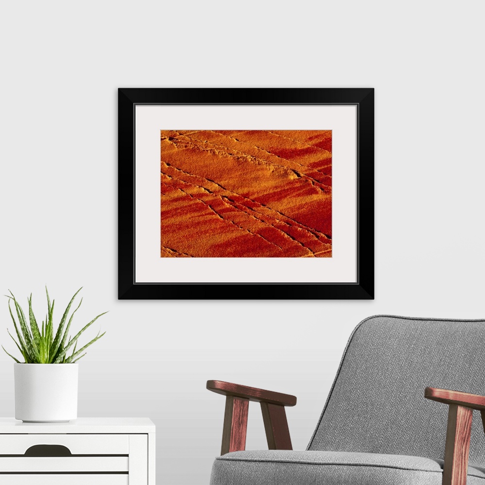 A modern room featuring Oversized landscape photograph of the surface of a grainy rock with raised thin lines caused by e...