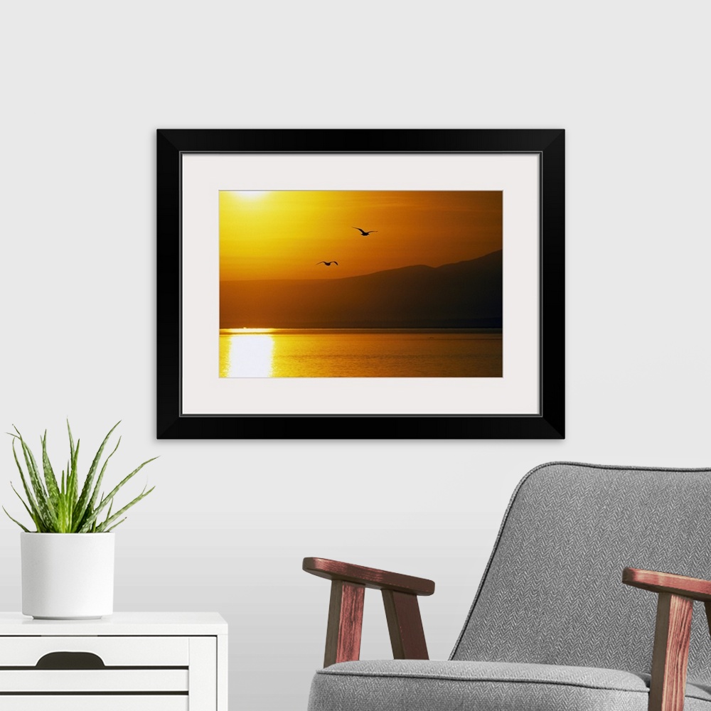 A modern room featuring Pair of seagulls flying over Cook Inlet at sunset, water reflection, Alaska