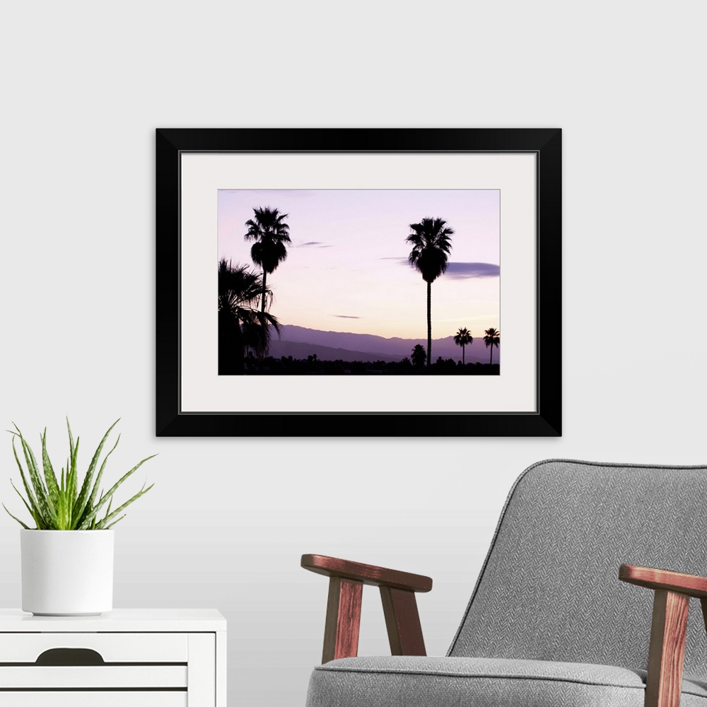 A modern room featuring Silhouette of palm trees at dusk, Palm Springs, Riverside County, California