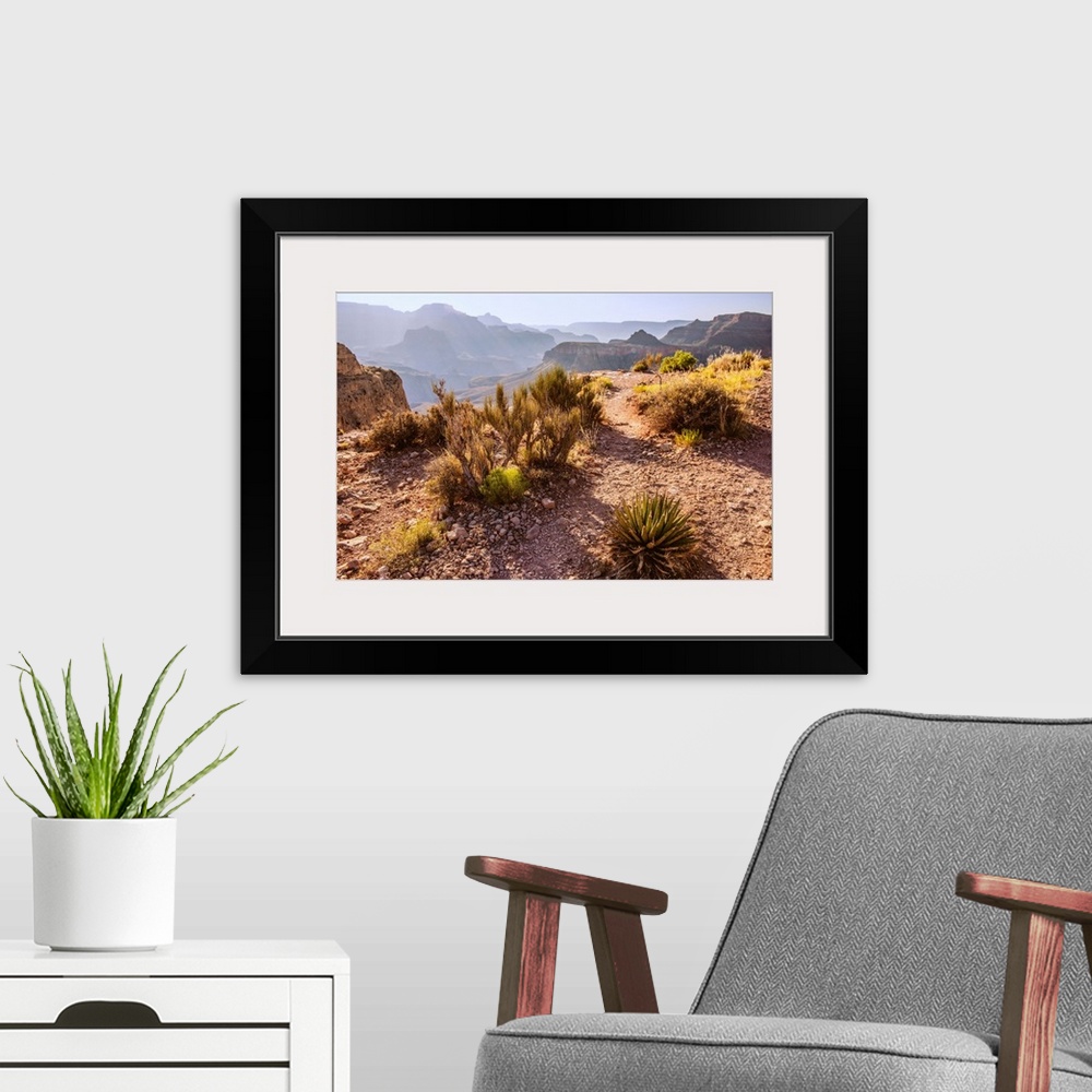 A modern room featuring Desert vegetation in Grand Canyon National Park, Arizona.