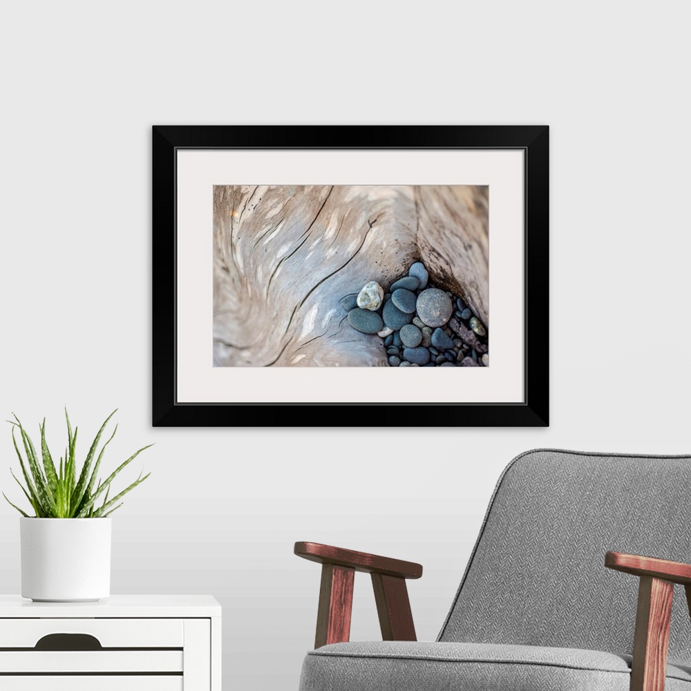A modern room featuring Photograph of smooth rocks piled on top of a piece of driftwood on the pacific northwest coast.